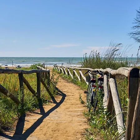 Apartment Homely Bright Flat On The Shores Of Bibione