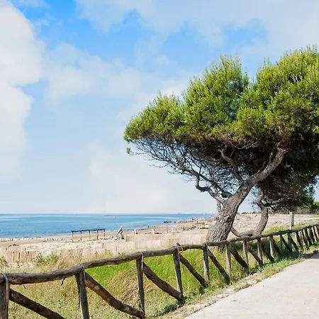 Homely Bright Flat On The Shores Of Bibione