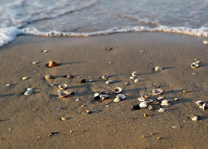 Homely Bright Flat On The Shores Of Daire Bibione